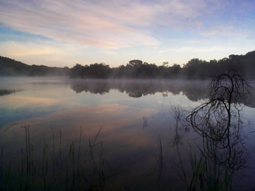 News of Quiet Waters