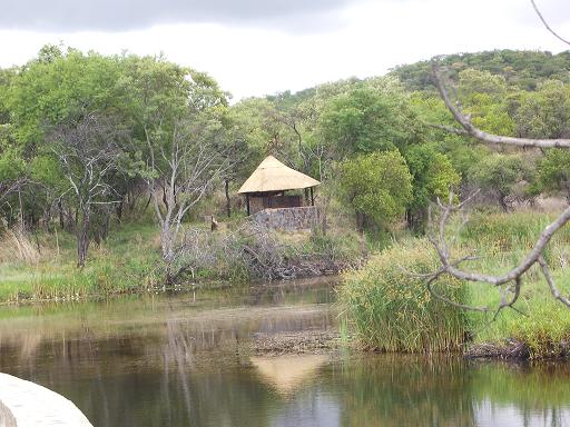The Homann Hide