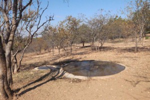 A water pan in front of Heather & Gordon's house at Quiet Waters