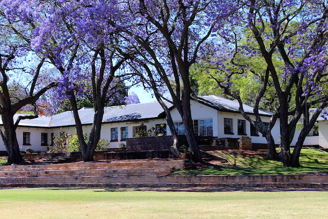 Aerial view of Falcon with prominent Jacarandas