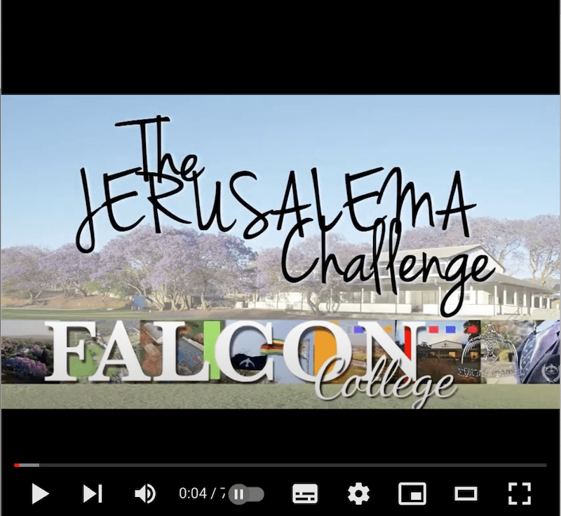 Falcon does the Jerusalema