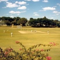 1st Team cricket match (photo: Colin Bewes)