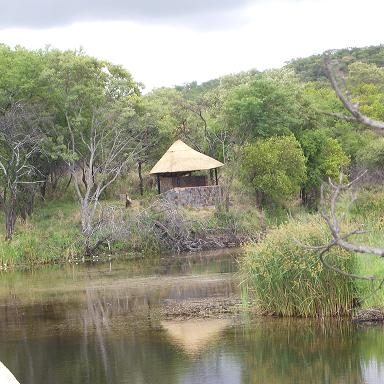 The Homann Hide